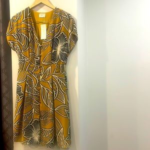 Women’s Dress